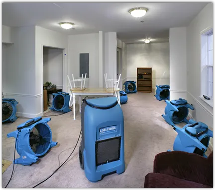 Leak Detection & Repair in Hastings, MI