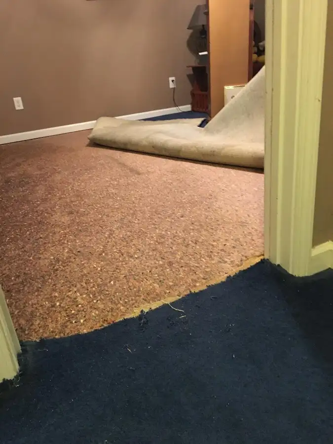 Carpet pad removal revealing water damage during Drying & Dehumidification in Hastings