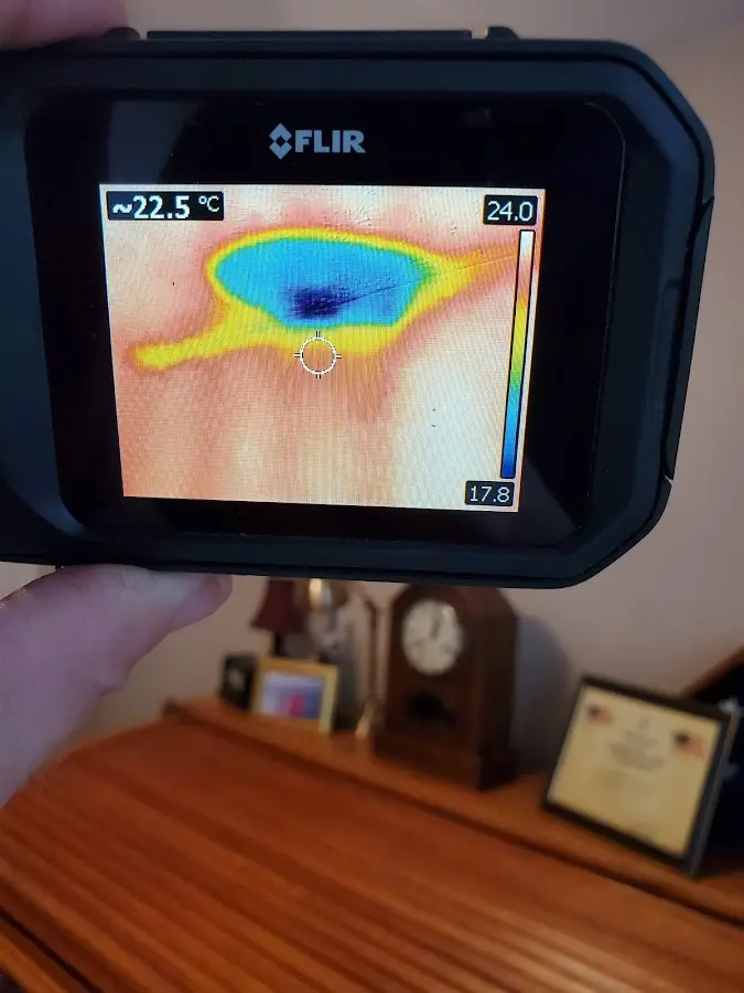 Thermal imaging inspection for water damage in Hastings