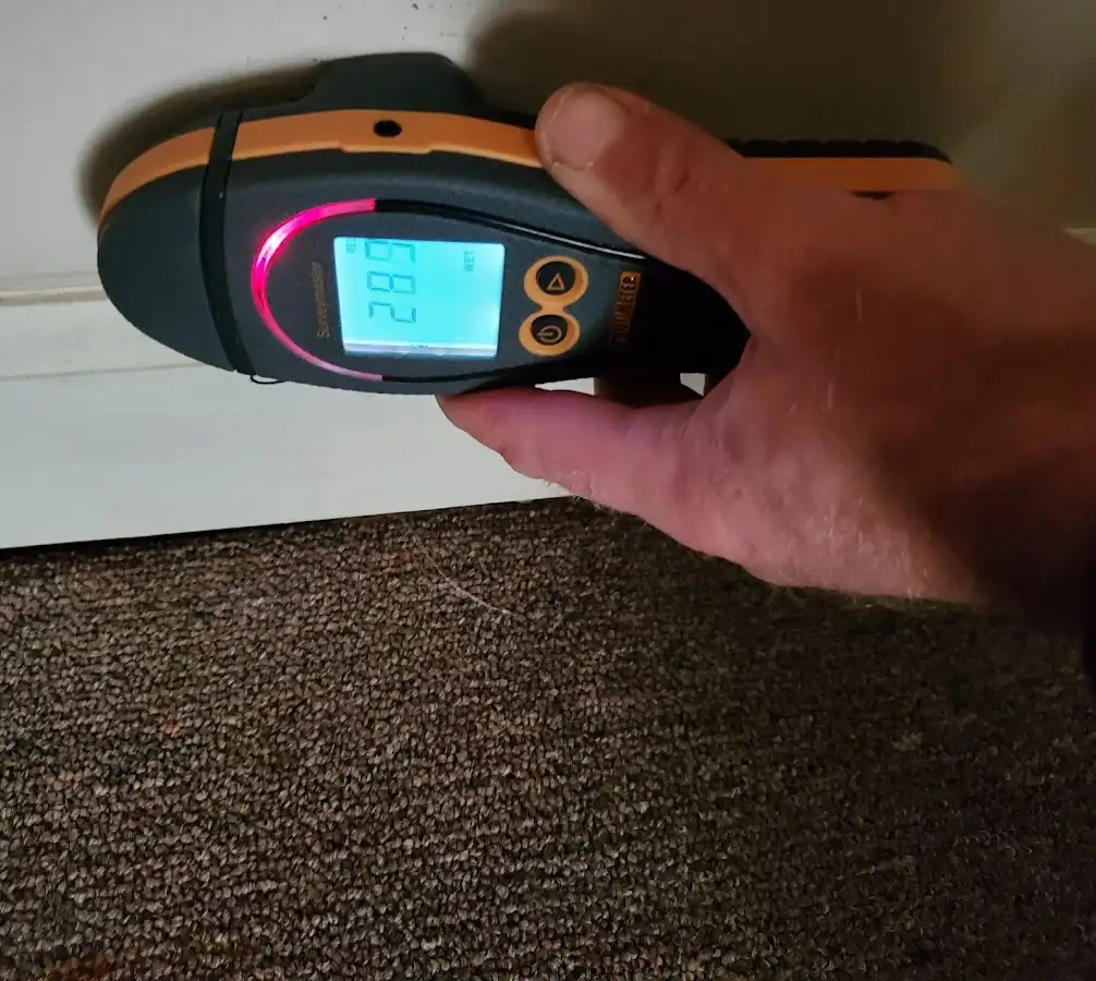 Moisture detection at baseboard during Burst Pipe Cleanup in Hastings